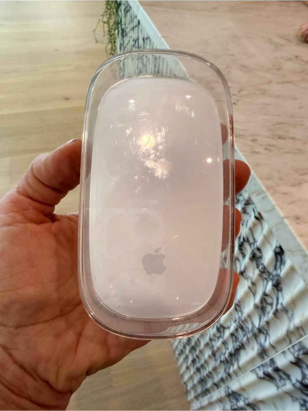 Magic Mouse Computer Mouse Apple